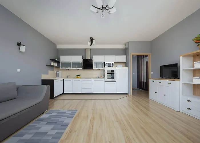 Grey In With View And Balcony By Renters Apartament *