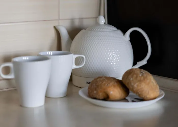 Grey In With View And Balcony By Renters Apartament *