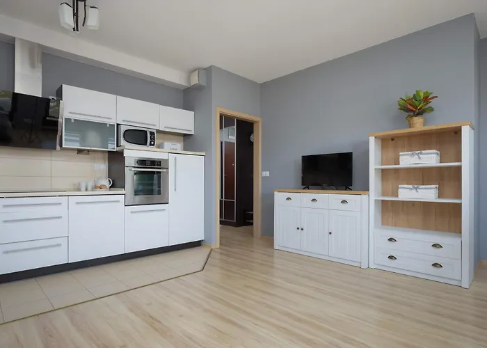 Grey In With View And Balcony By Renters