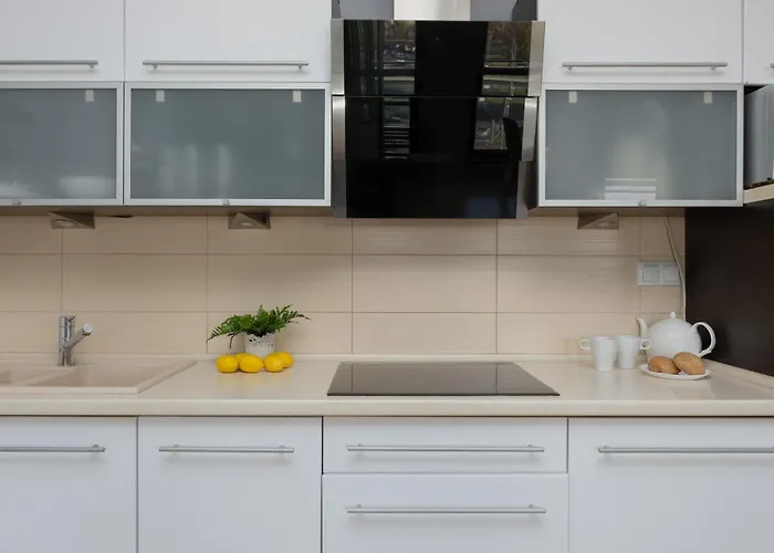 Grey In With View And Balcony By Renters Apartament *