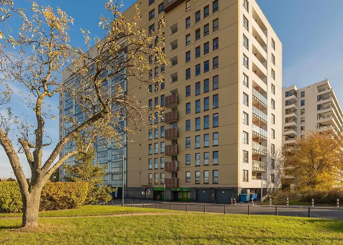 Grey In With View And Balcony By Renters