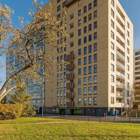 Grey In With View And Balcony By Renters
